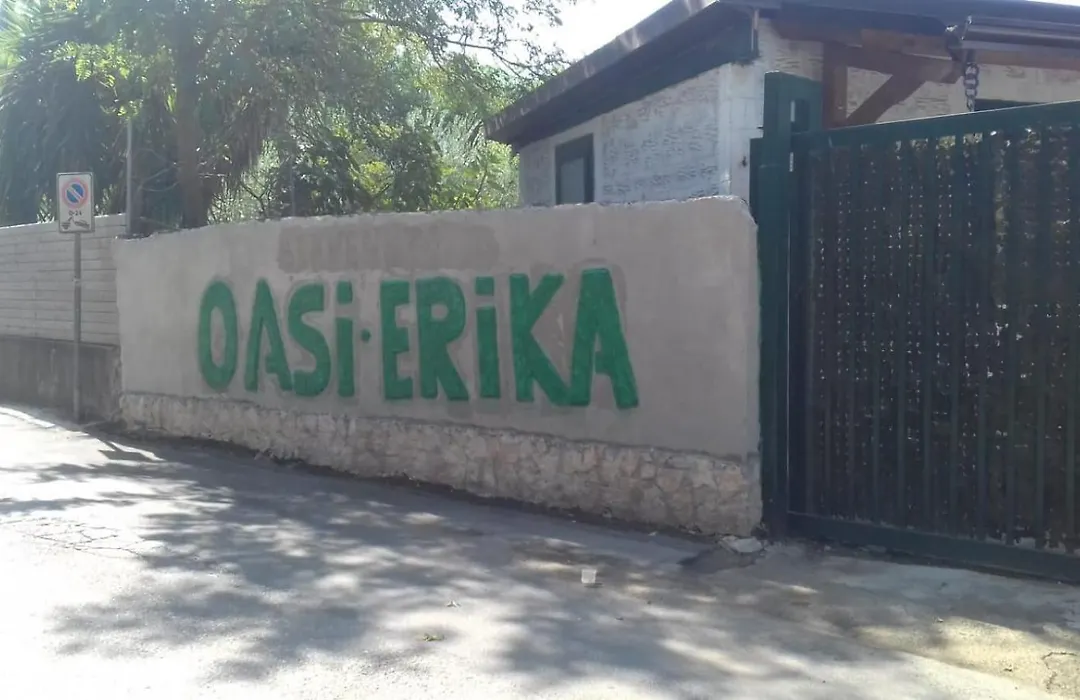 Oasi Erika-1