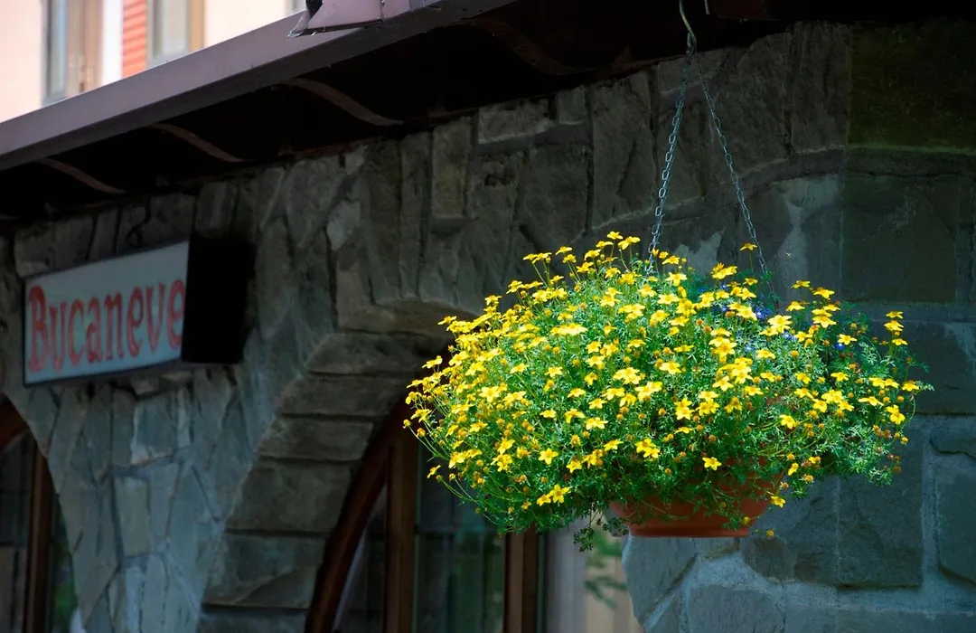 Albergo Bucaneve-1