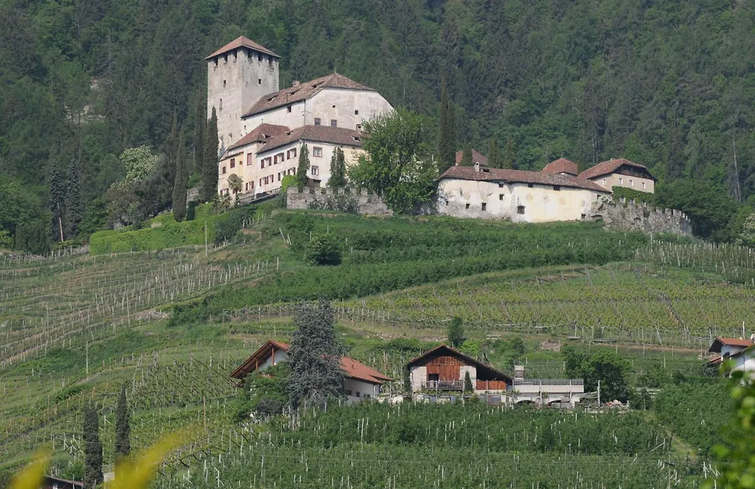 Hotel FleurAlp-1