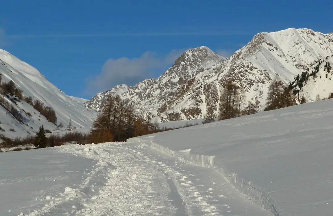Gasthof Gemse-1