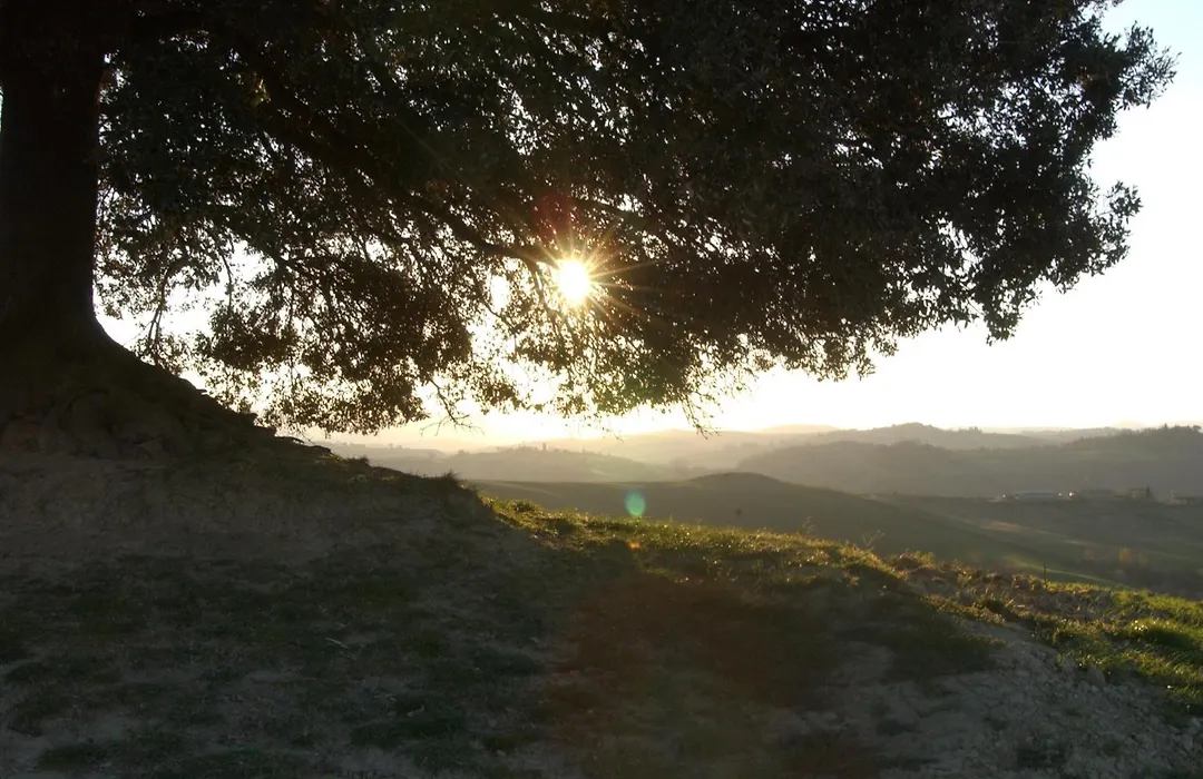 Fattoria Pieve A Salti-1