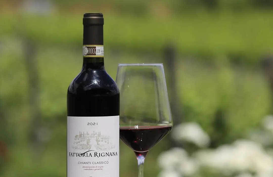 Fattoria Di Rignana Winery Bnb-1