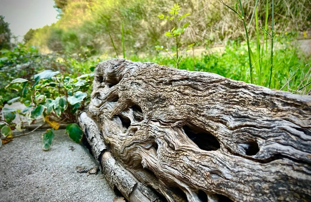 Le Mandrie Di San Paolo-1