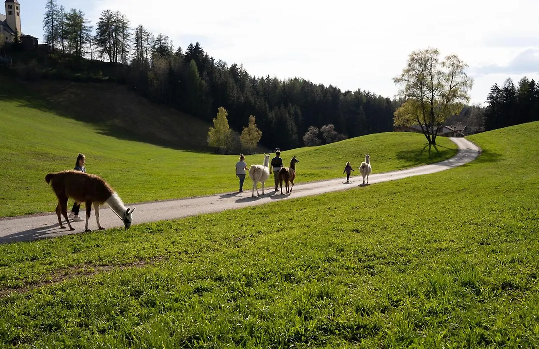 Schupferhof-1