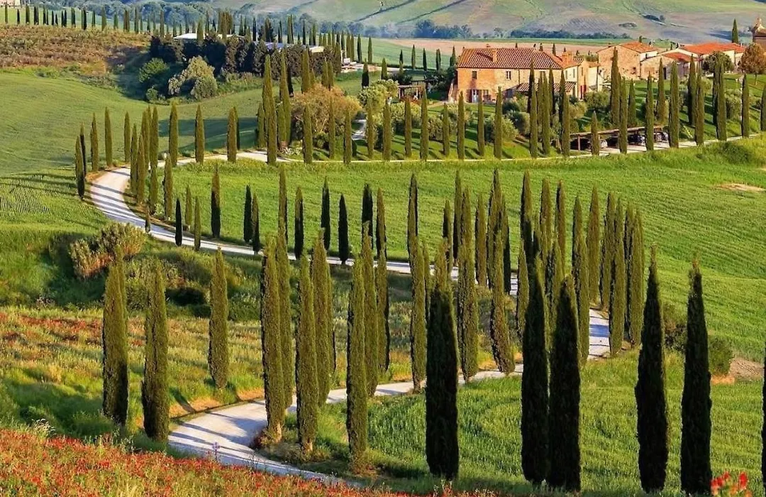 Agriturismo Baccoleno-1
