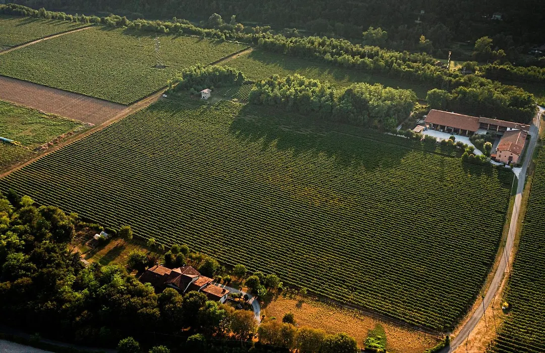 Agriturismo Ripa Del Bosco-1