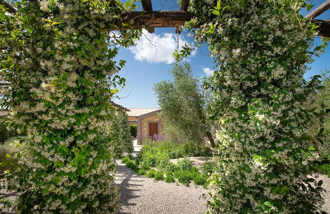 Agriturismo Resort Il Foionco-1