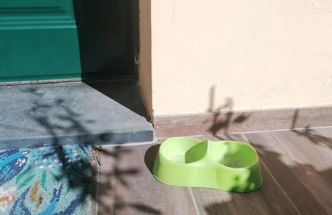 La Casa delle Rondini-1