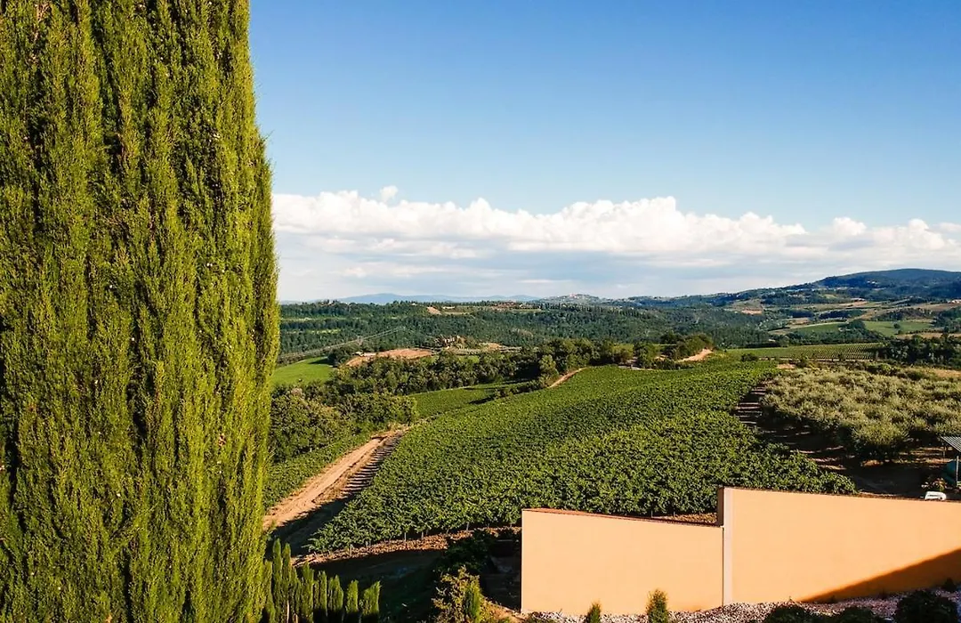 Il Leccio - Casa Toscana San Gimignano-1