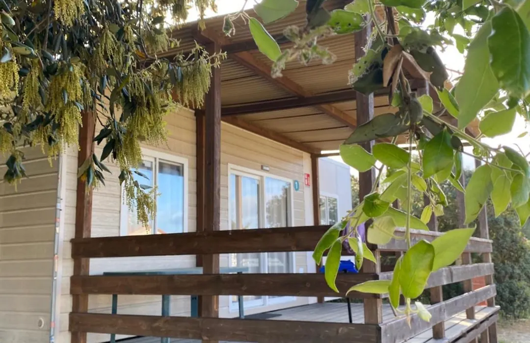 Camping Internazionale Di Castelfusano-1