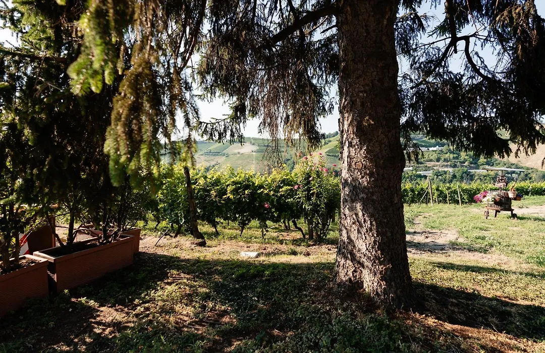Cadgal - Tenuta Valdivilla-1