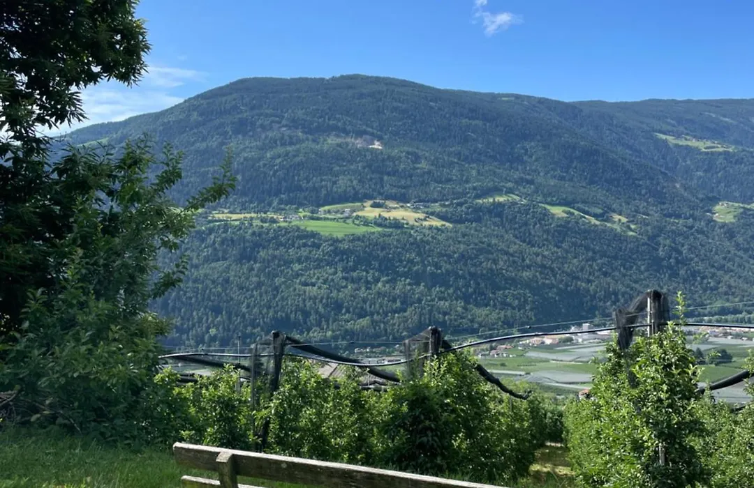 Obermairhof-1