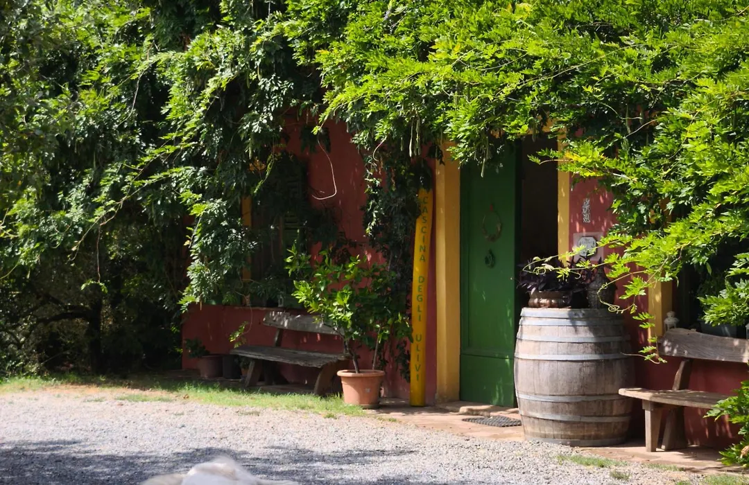 Agriturismo Cascina degli Ulivi-1