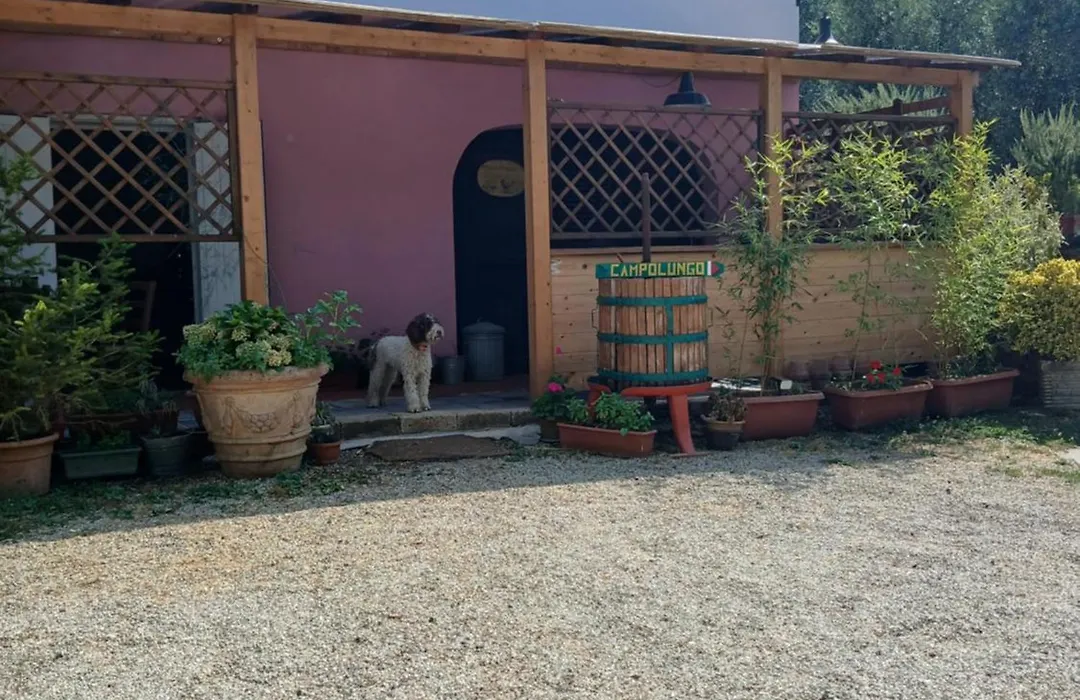 Agriturismo Campolungo-1