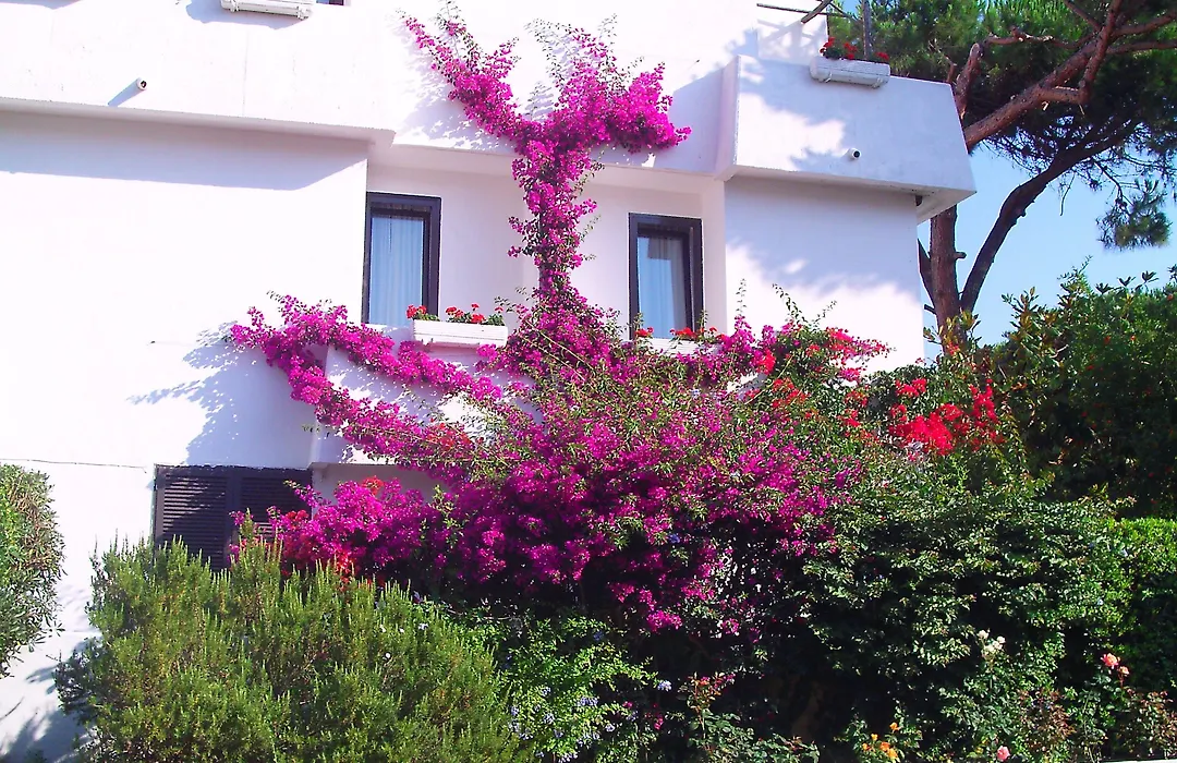 Hotel Della Baia-1