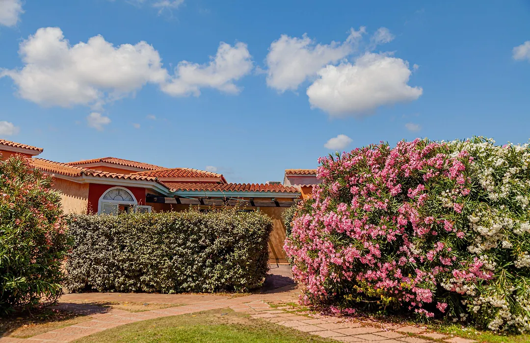 Residence Hotel Lu Nibareddu-1