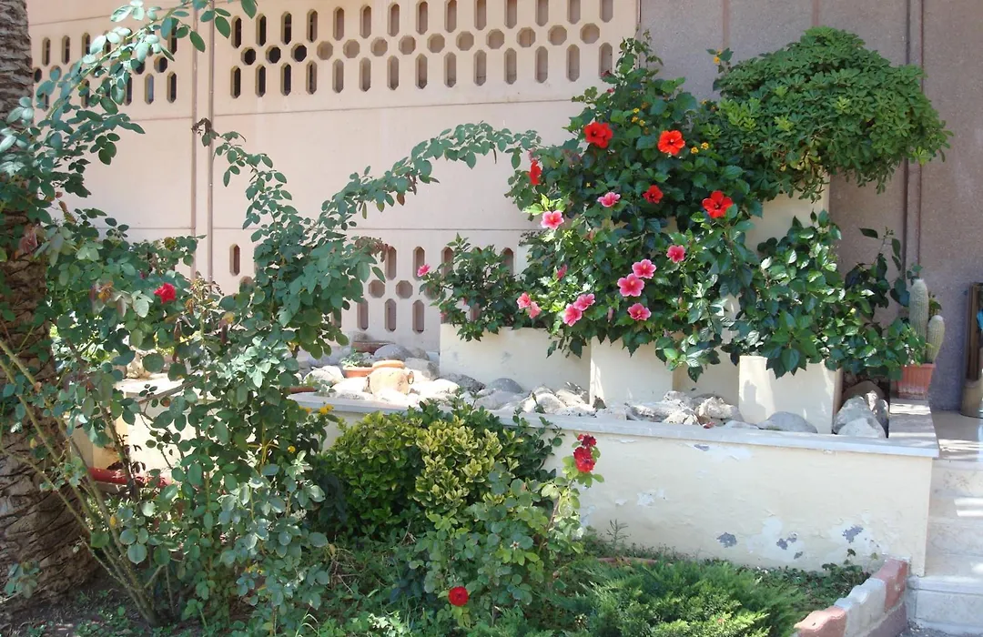 Park Hotel-1