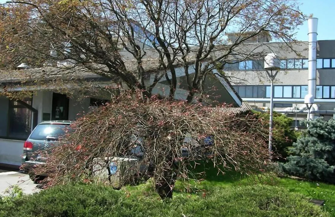 Motel Rona-1