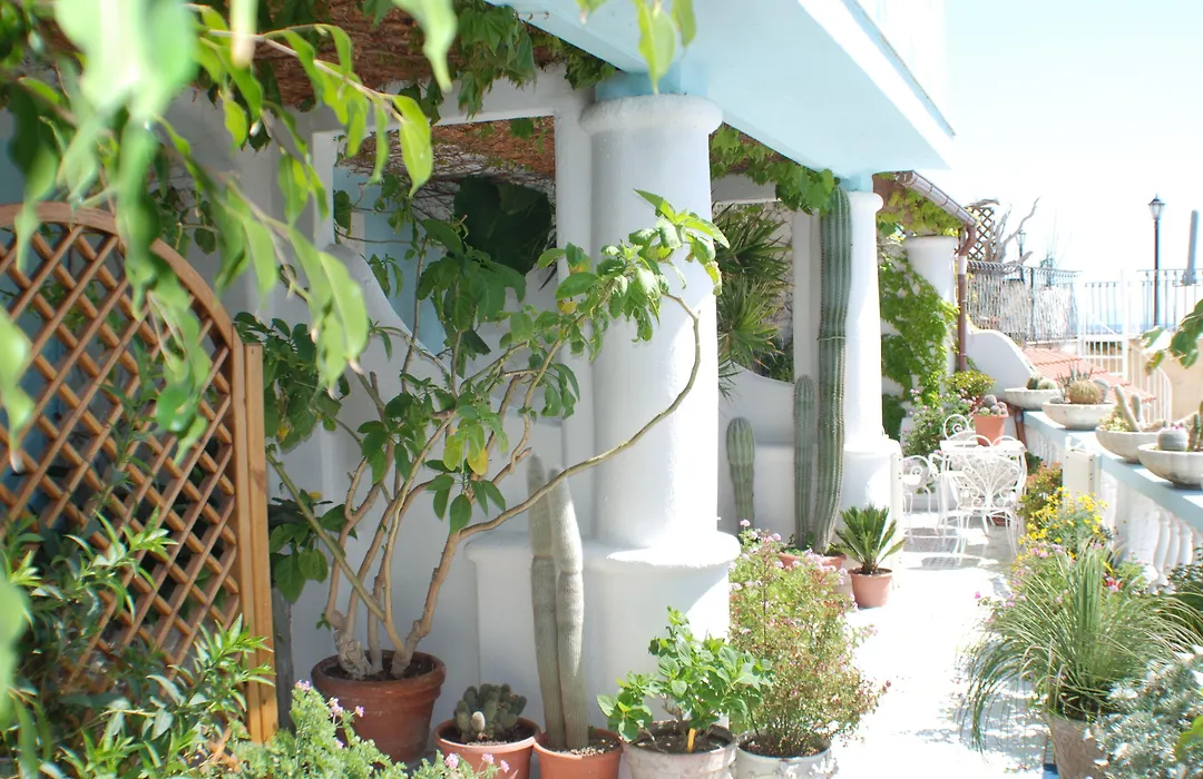 Hotel La Palma-1