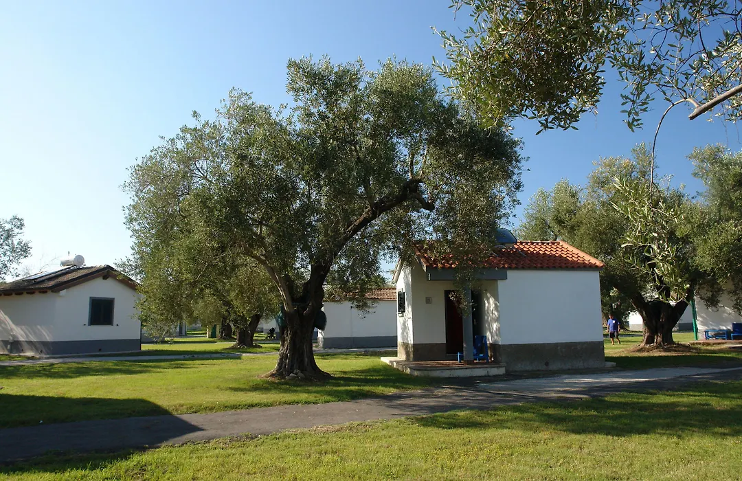 Villaggio Turistico Elea-1