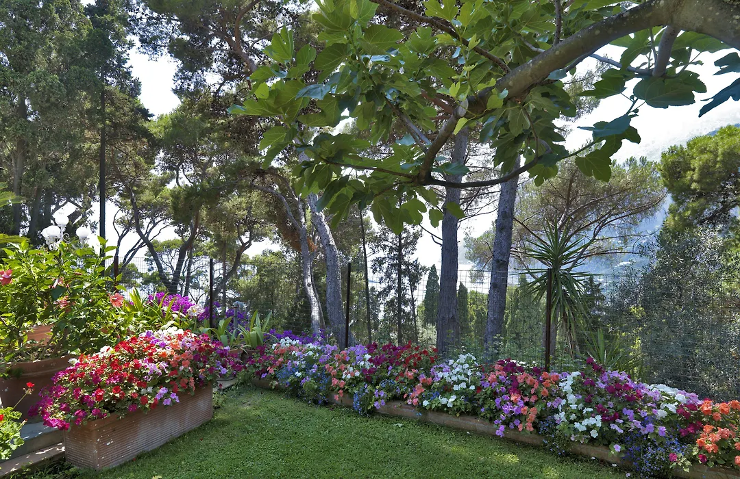 Hotel Villa Brunella-1