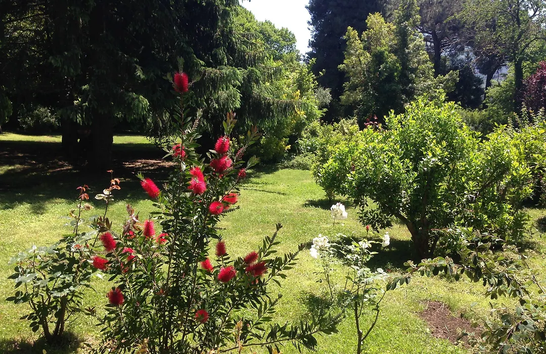 Villa Abbamer-1