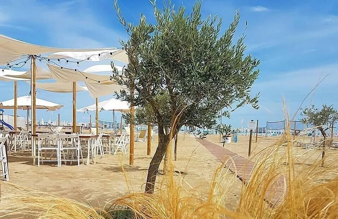 Alba Hotel-1