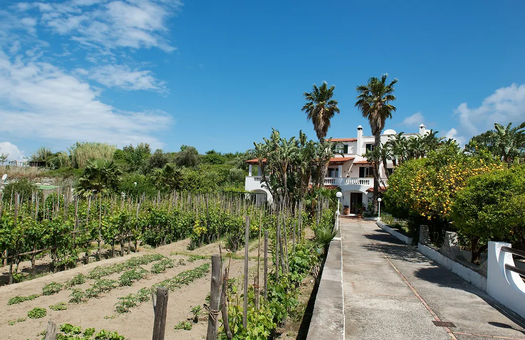 Residence San Domenico-1