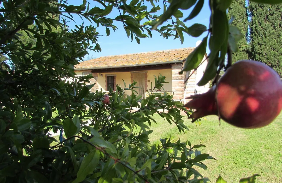 Agriturismo Pretenzano-1