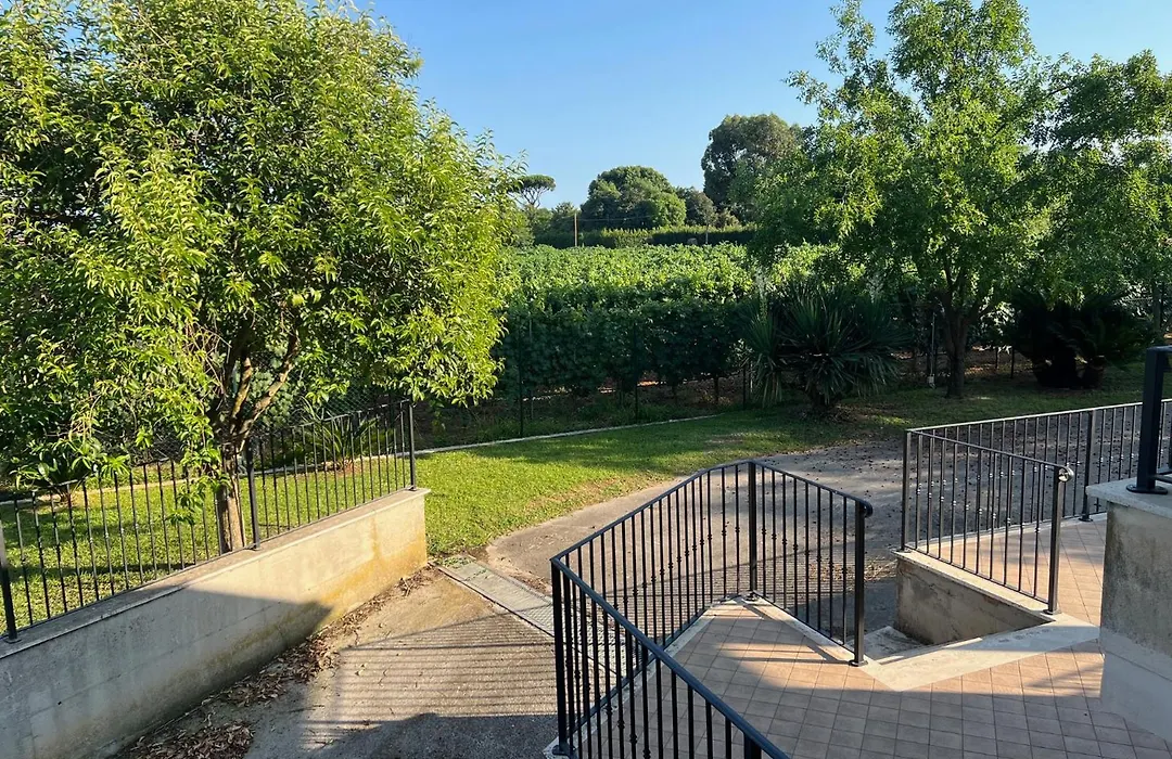 Seguire Le Botti - Agriturismo Cantina Sant'Andrea-1