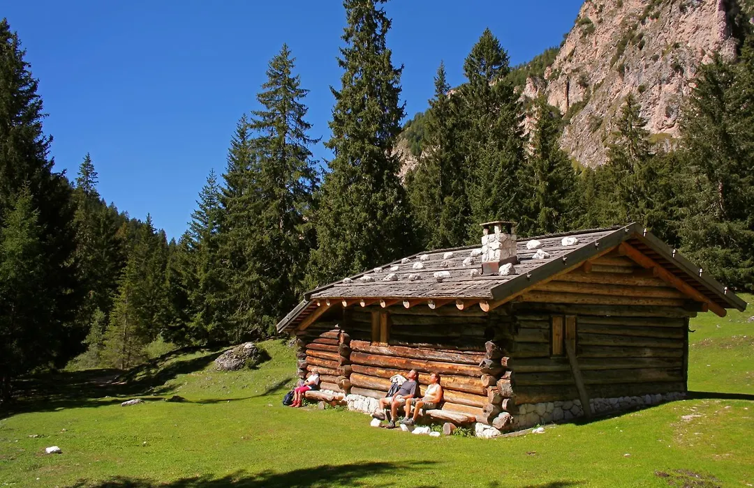 Hotel Pine-1