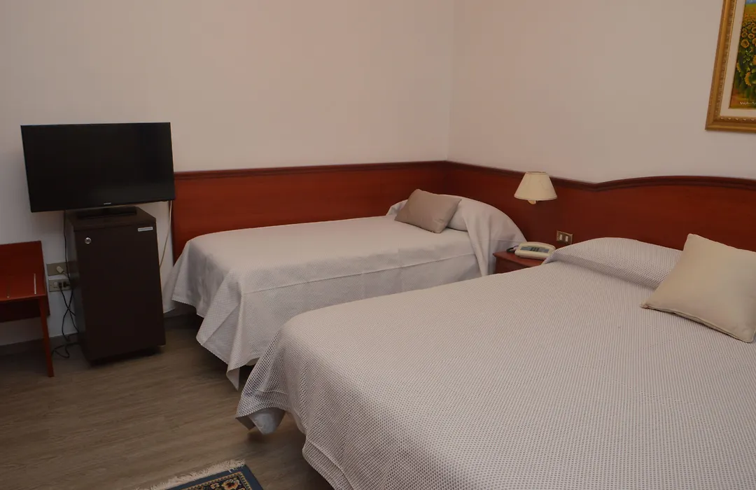 Hotel Svevia-1