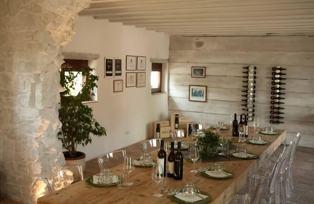 Casa Griunit-1