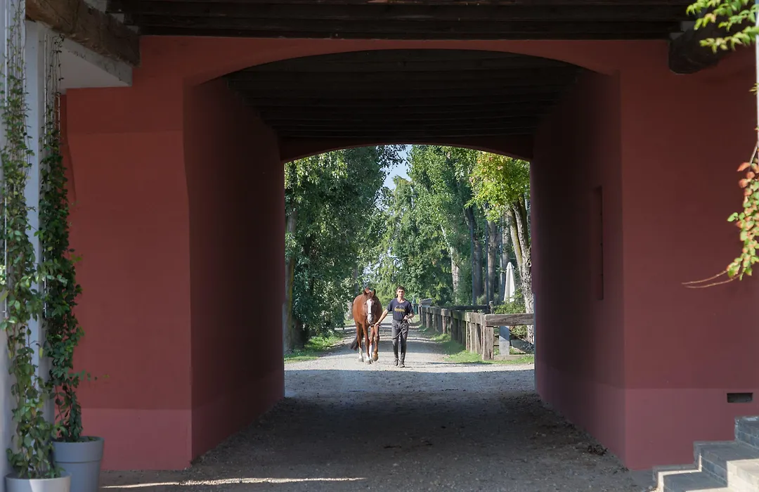 Scuderia La Colombera-1