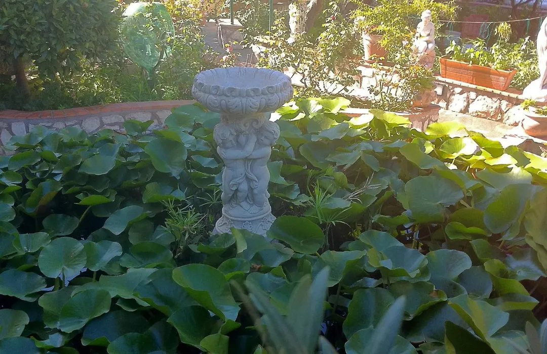 Casa Palazzo a Mare-1