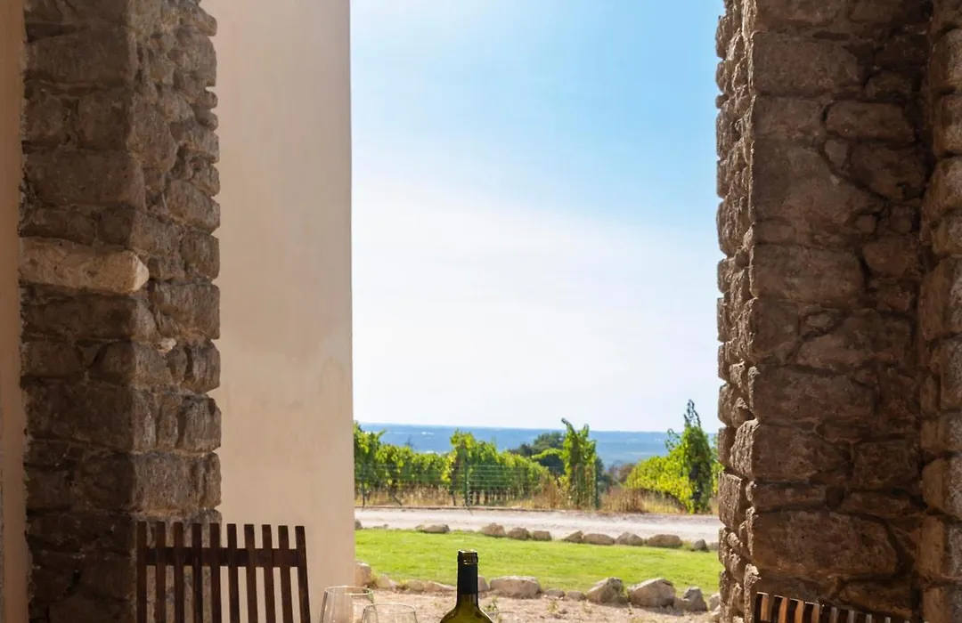 Cincinnato Wine Resort-1