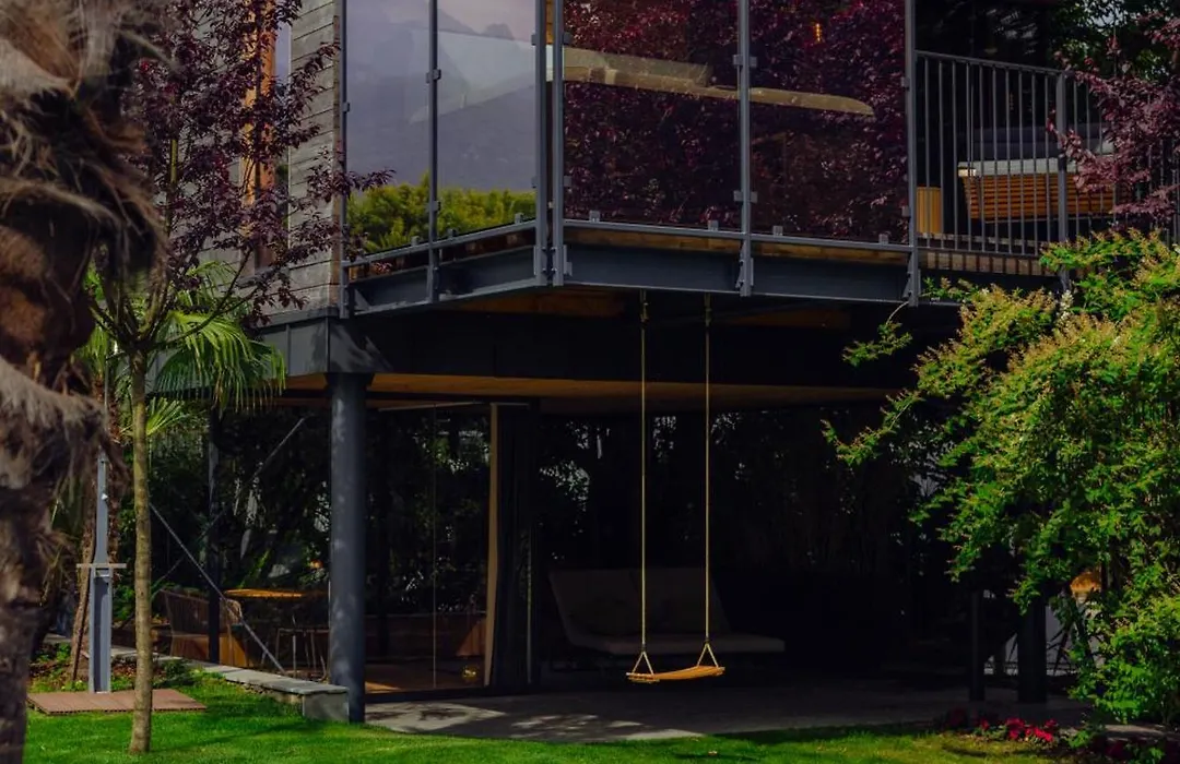 Treelodgy, The Tree House-1