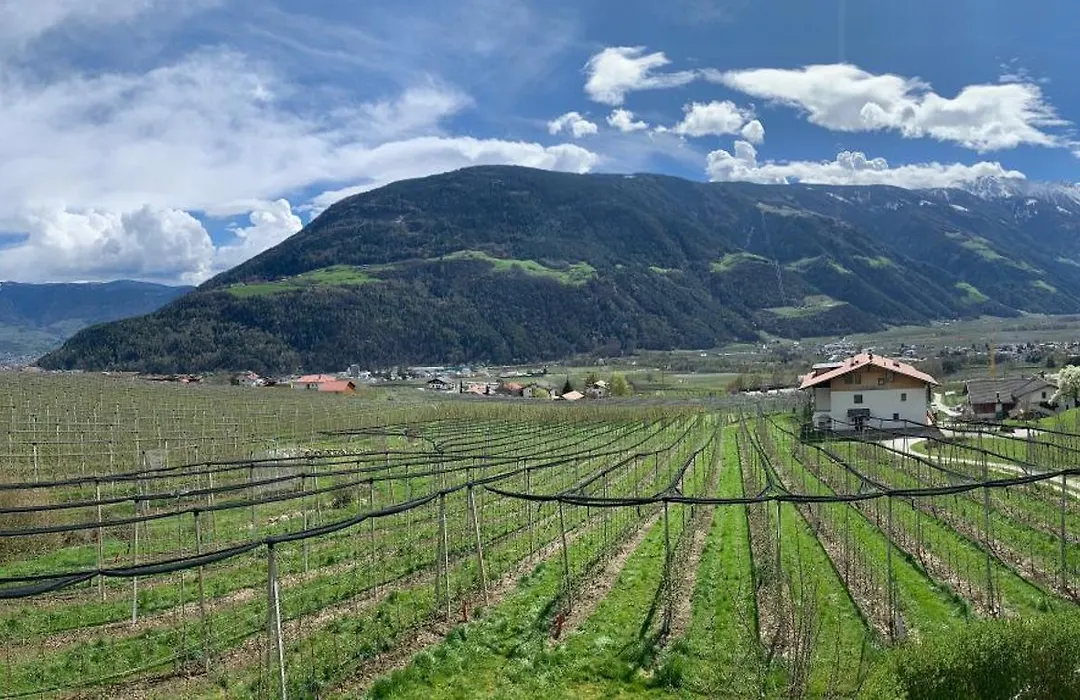 Mareinhof - Urlaub auf dem Apfelbauernhof-1
