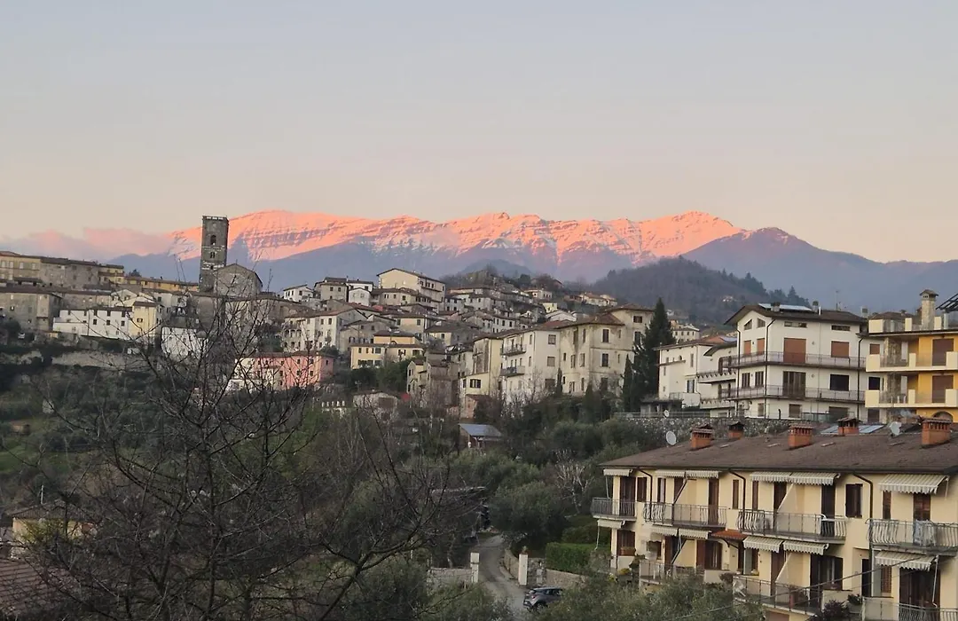 Villa Pavone-1