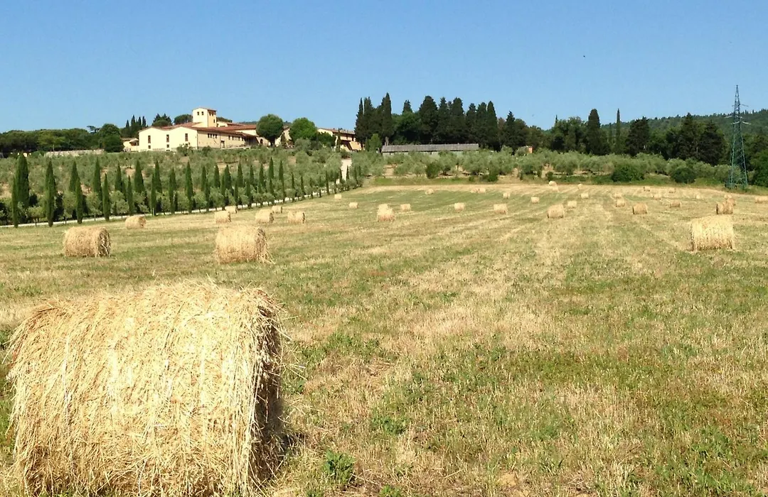 Fattoria Pagnana Suites&Pool-1