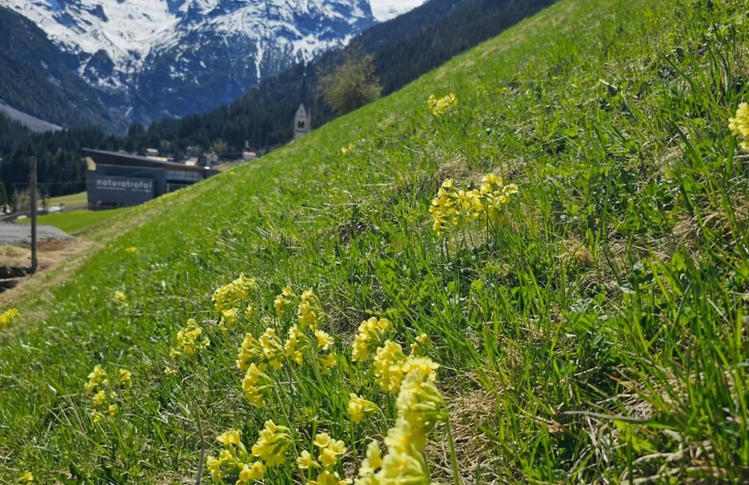 Pension Pernthaler-1
