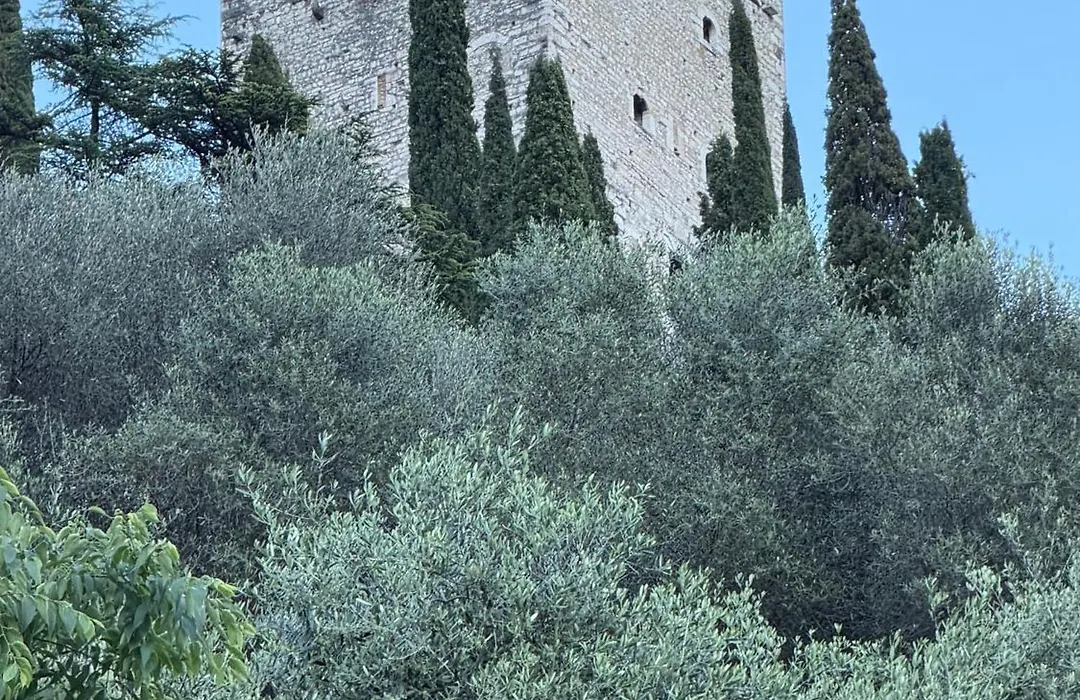 Castle Rhythm-1