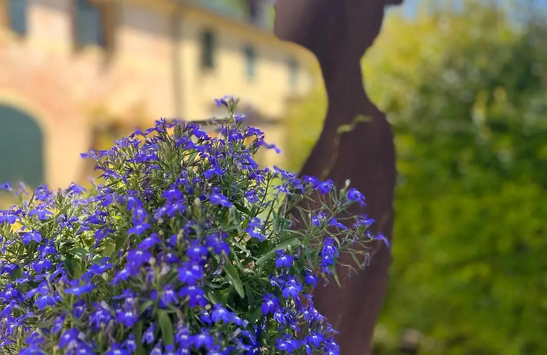 Hotel Donna Lucia-1