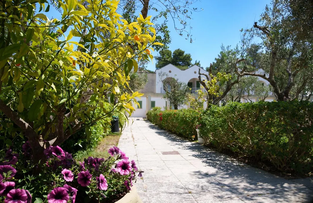 Borgo Primizia-1