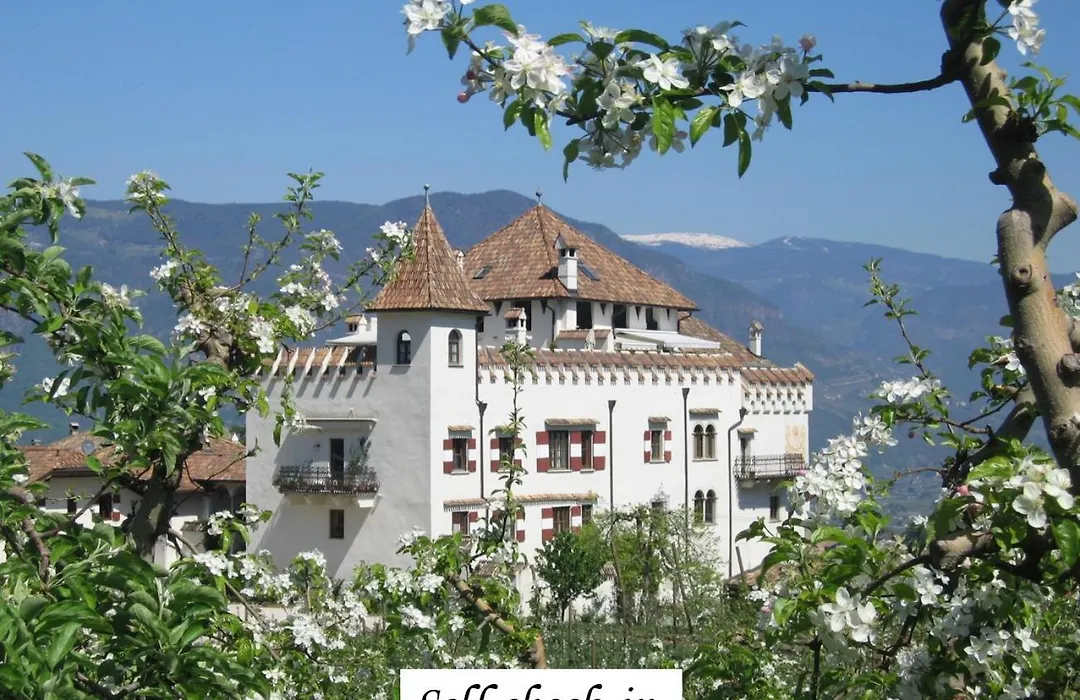 Apartment Schloss Paschbach-1