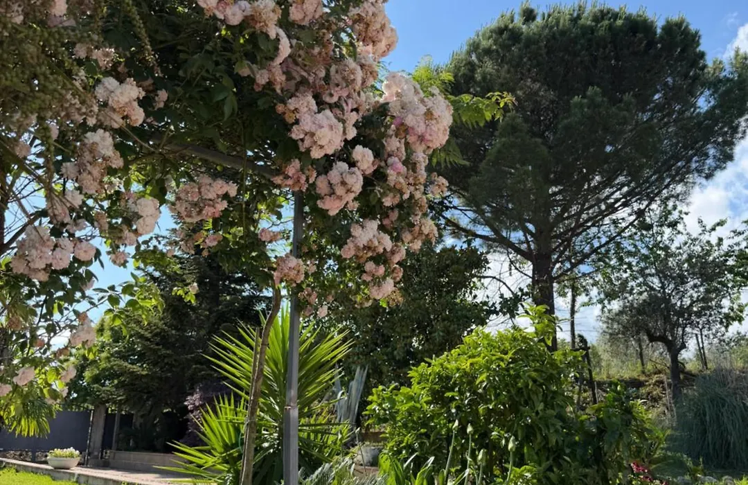 A Casa di nonna Emilia-1