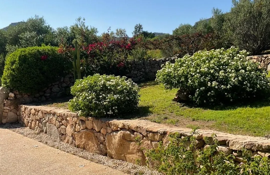 Tenuta Petra Manna-1