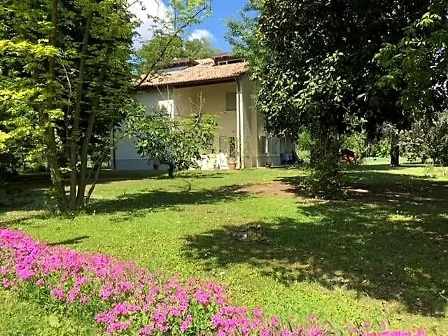 Acero Giallo-1