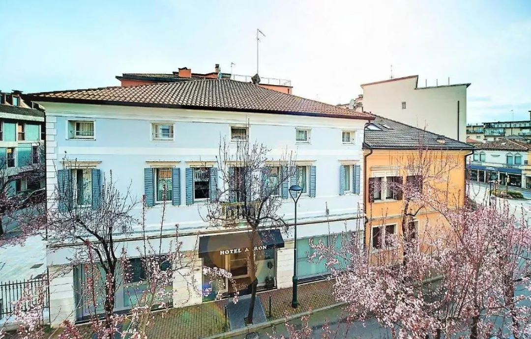 Hotel Aaron-1