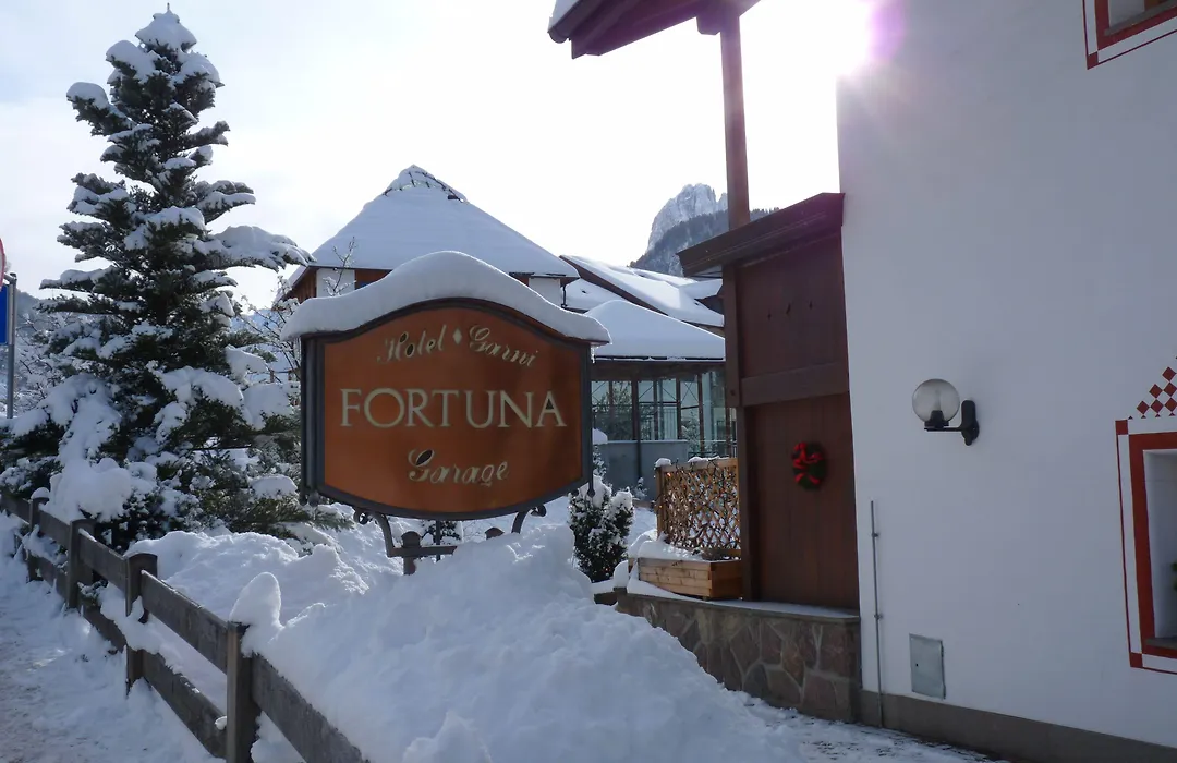Hotel Fortuna-1